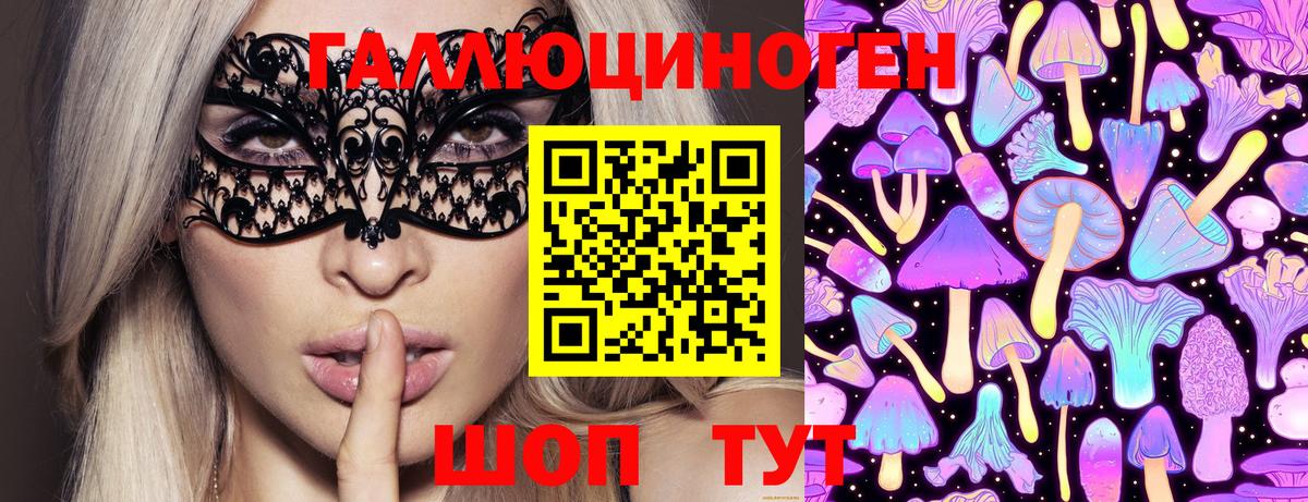 Щёлково  Псилоцибиновые грибы Cubensis  Вход с VPN 