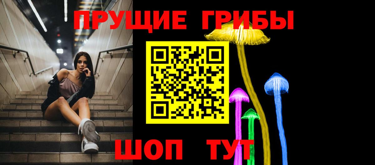 Галлюциногенные грибы Psilocybe Щёлково